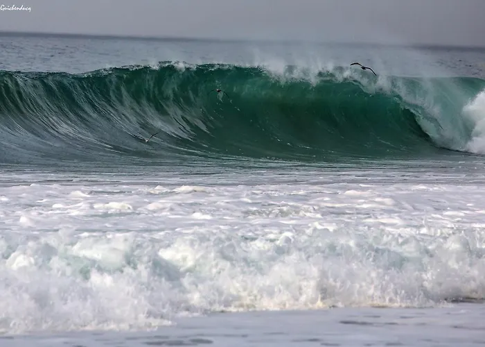 Отель Catarie 4*